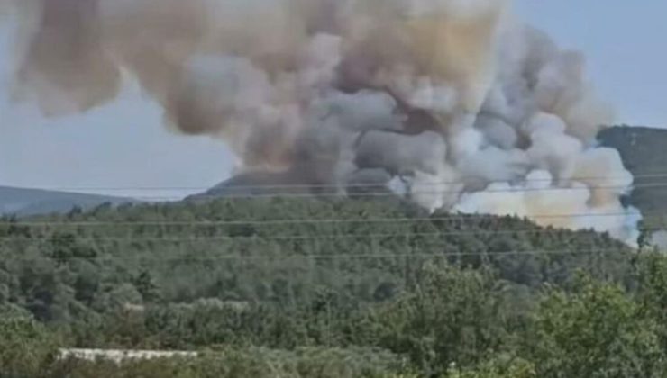 Türkiye’de yangın alarmı: İzmir, Bursa, Antalya ve Çanakkale’de alevlerle mücadele