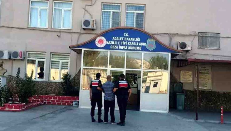 Ormanda saklanıyordu, 650 kök kenevirle yakalandı