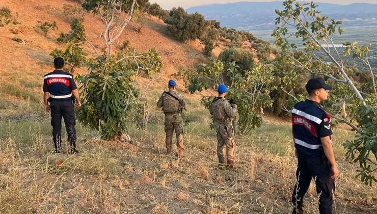 Köşk ilçesinde jandarma, incir üreticilerini hırsızlığa karşı uyardı